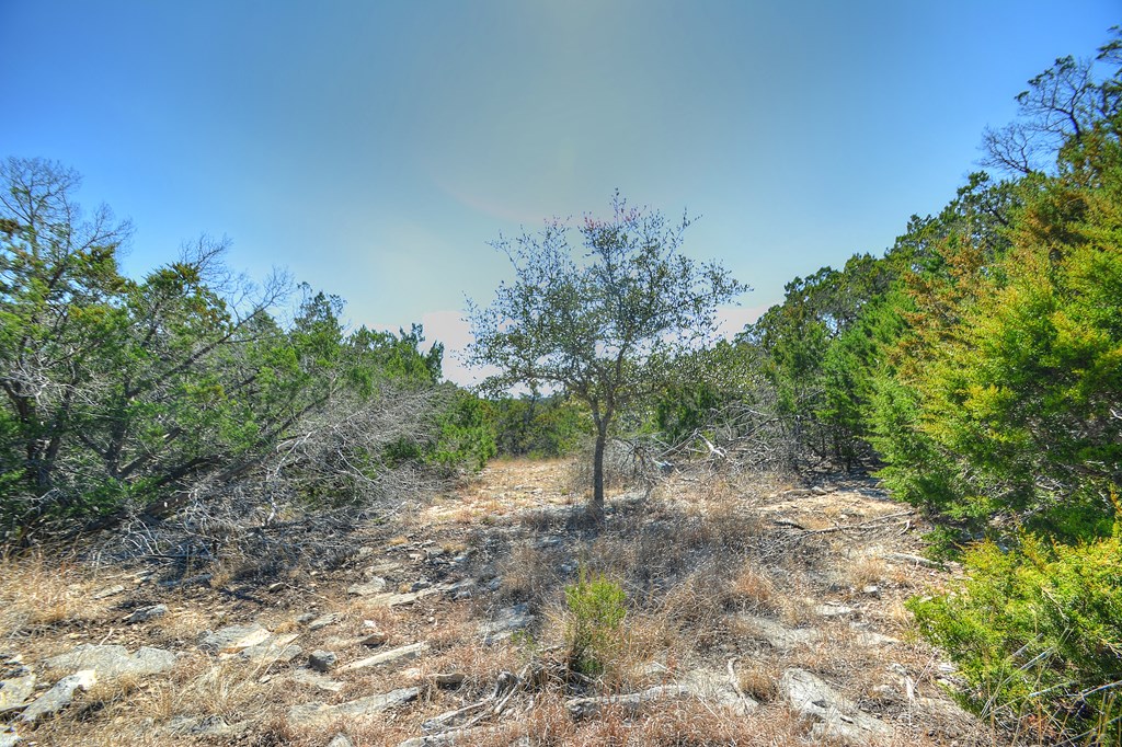 270 Sanders Road Center Point, TX 78010 - Photo 26 of 36