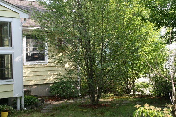 51 Londonderry Road Framingham, MA 01701 - Photo 11 of 12 Gallery Image 11