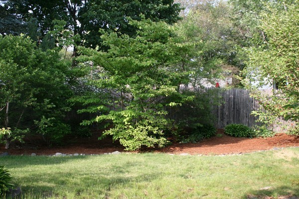51 Londonderry Road Framingham, MA 01701 - Photo 10 of 12 Gallery Image 10