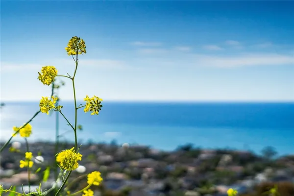 $8,500 | 307 East Avenida Cordoba, San Clemente, CA 92672