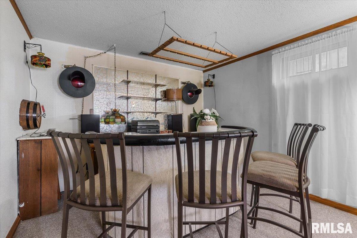 5260 River View Road Riverton, IL 62561 - Photo 21 of 34