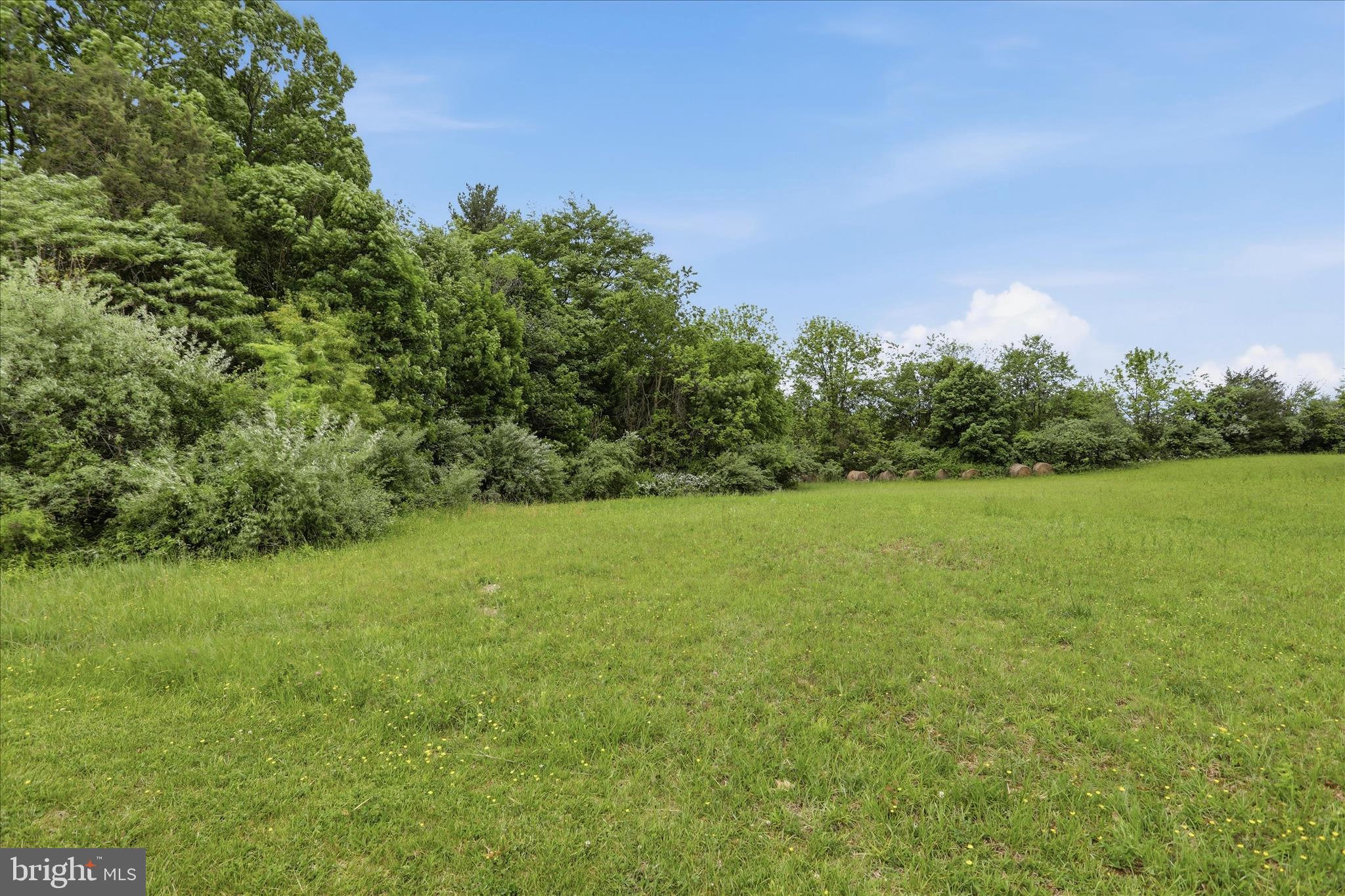 Williamsport Pike Falling Waters, WV 25419 - Photo 18 of 19 a view of a field with an outdoor space