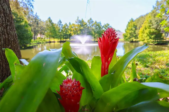 $2,100 | 611 Spring Lake Circle, Tarpon Springs, FL 34688