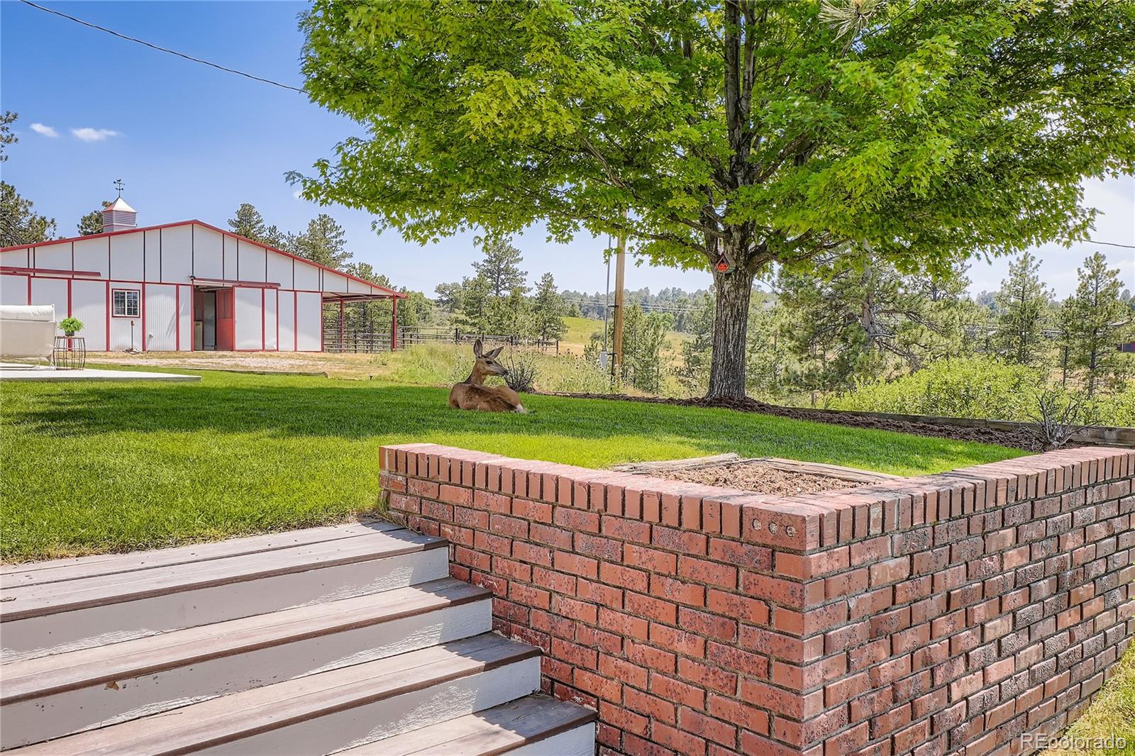 6685 Chalet Circle Parker, CO 80134 - Photo 33 of 50