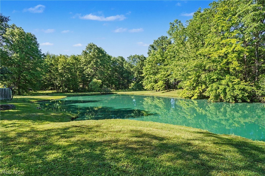 4250 Herr Fieldhouse Road Southington, OH 44470 - Photo 46 of 50 Private pond with verdant surround and mature trees