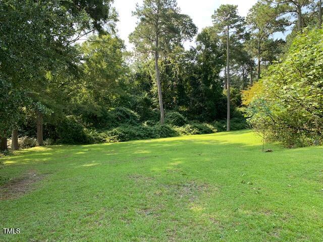 1003 Summerville Mamers Road Lillington, NC 27546 - Photo 33 of 44 a view of a field of grass and a tree