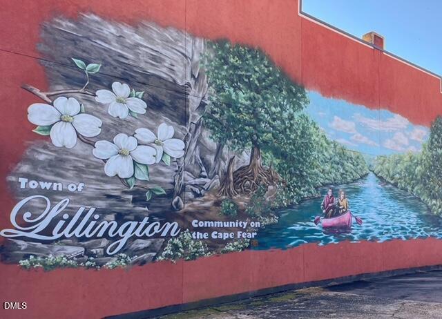 1003 Summerville Mamers Road Lillington, NC 27546 - Photo 38 of 44 a front view of a house with a yard and garage