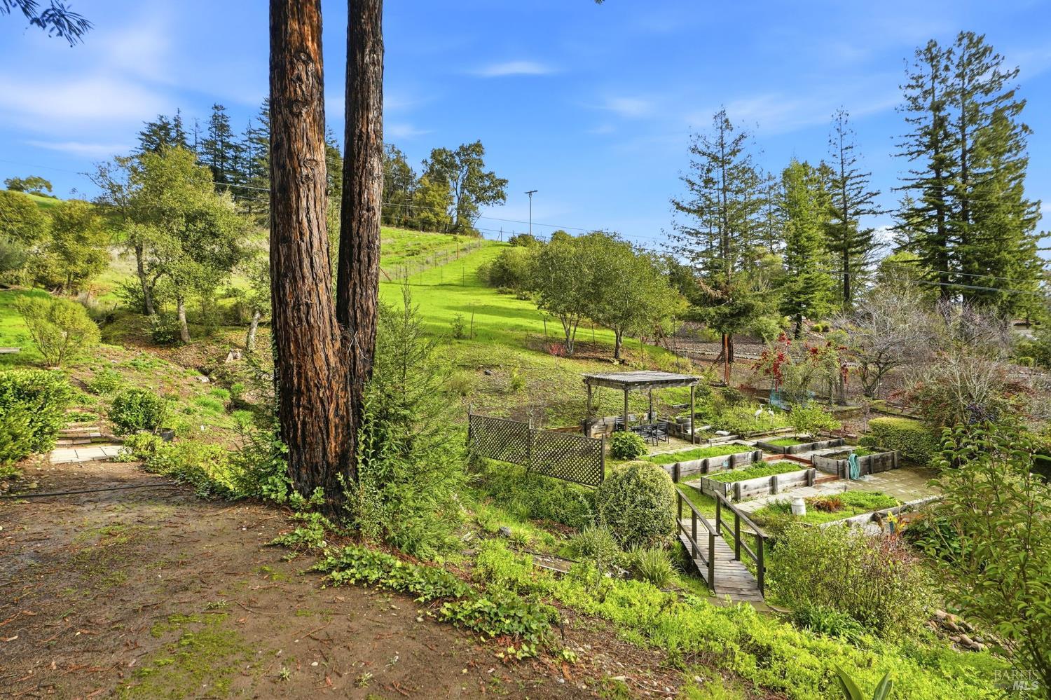 1814 St Francis Road Santa Rosa, CA 95409 - Photo 34 of 70 Privacy abounds, no neighbors behind