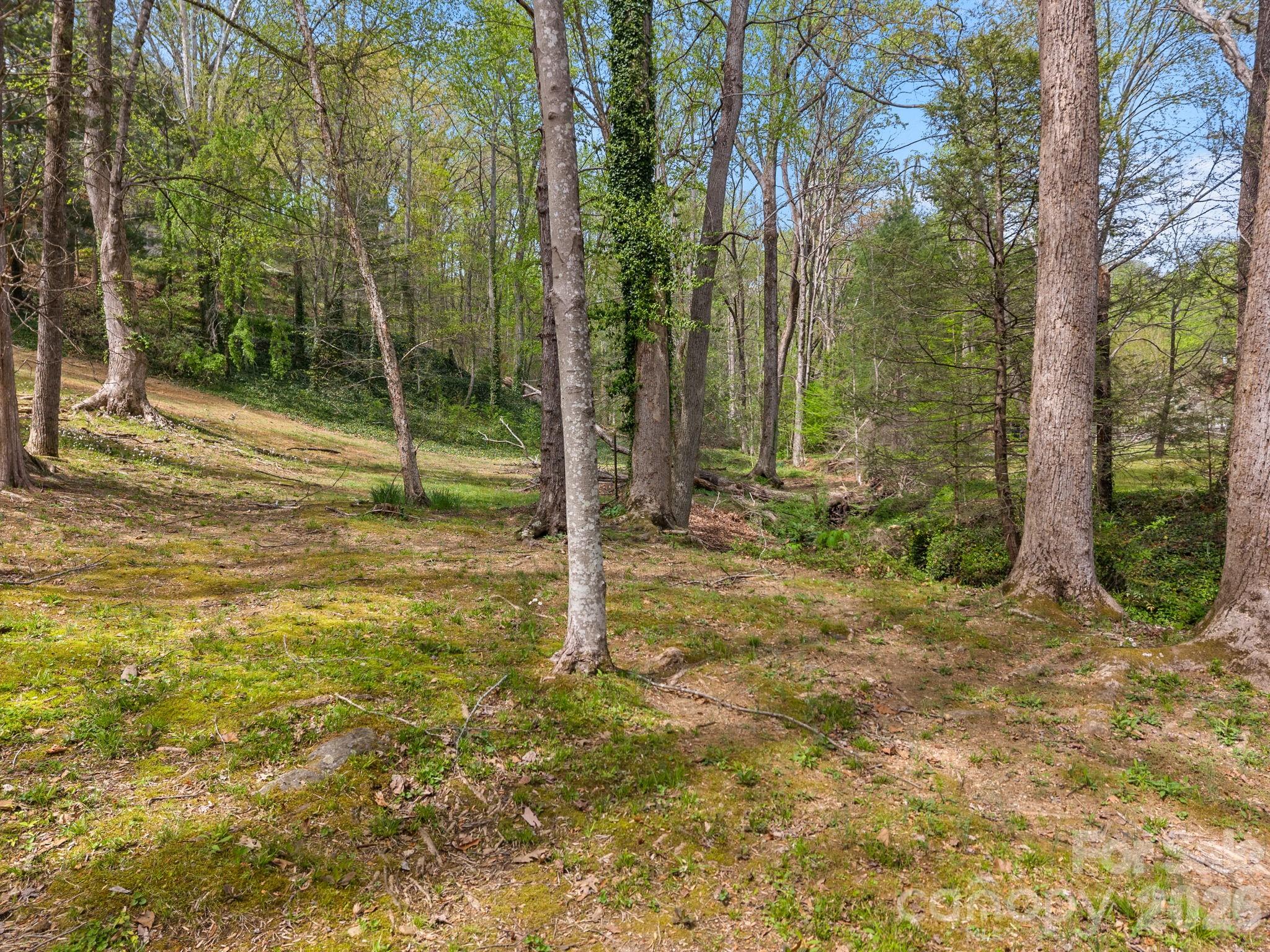 140 Meadowlark Drive Tryon, NC 28782 - Photo 45 of 45 a view of a backyard