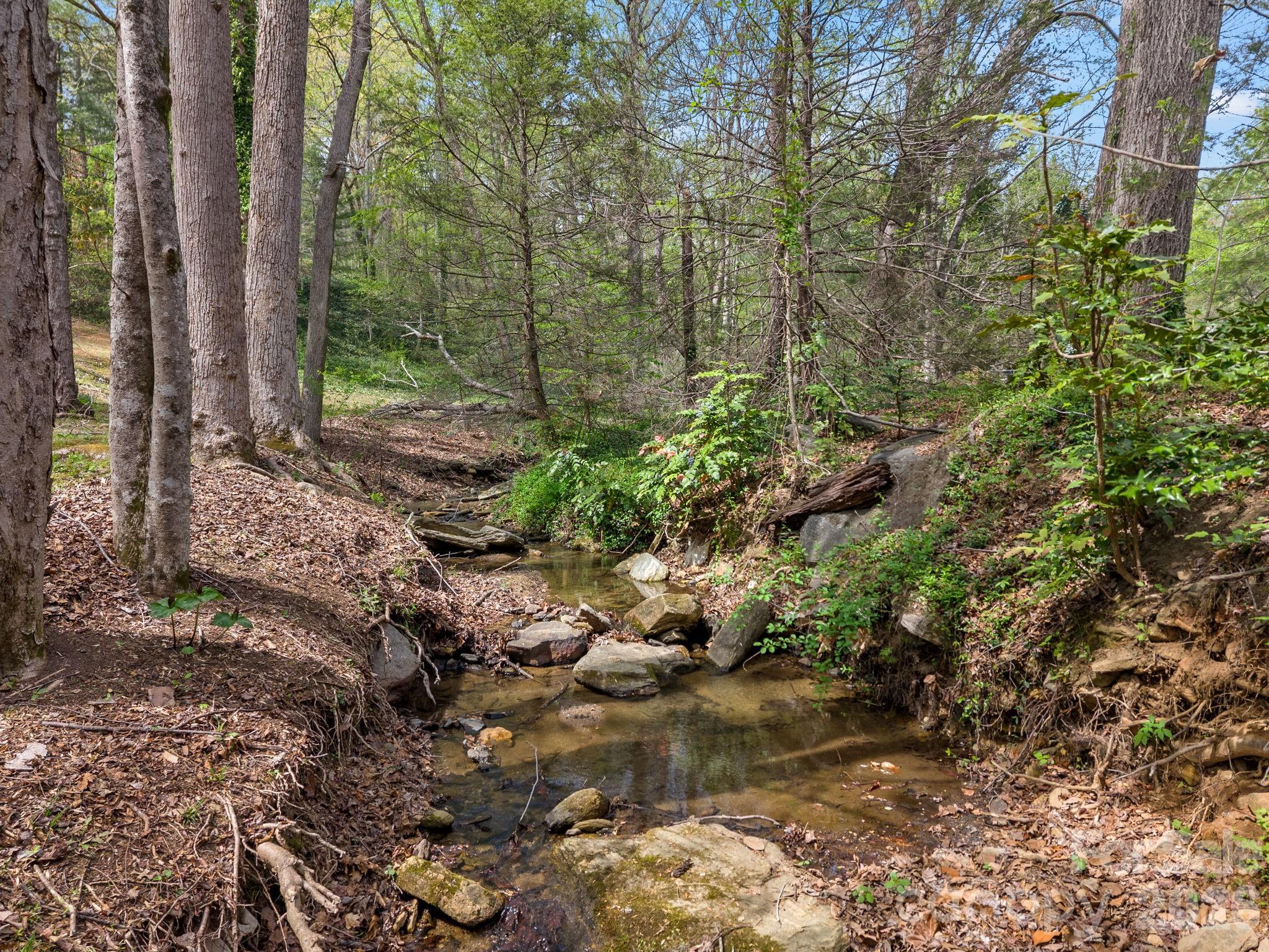140 Meadowlark Drive Tryon, NC 28782 - Photo 5 of 45 a view of a forest filled with trees