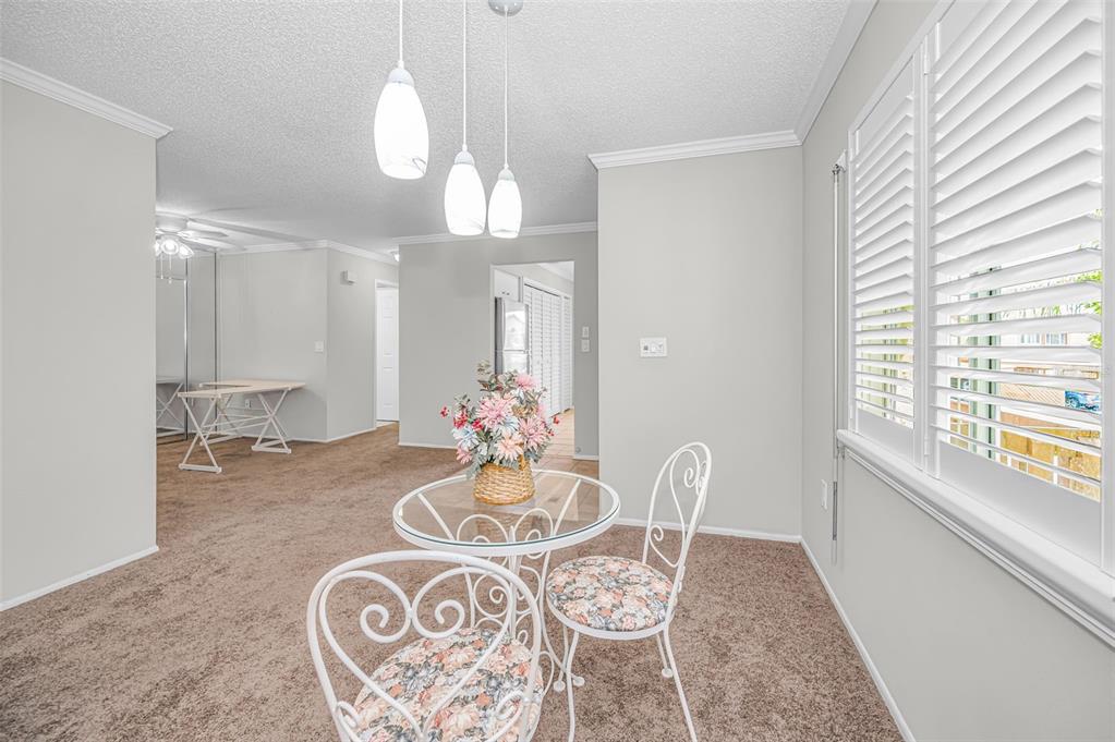 3835 Lighthouse Way New Port Richey, FL 34652 - Photo 22 of 78