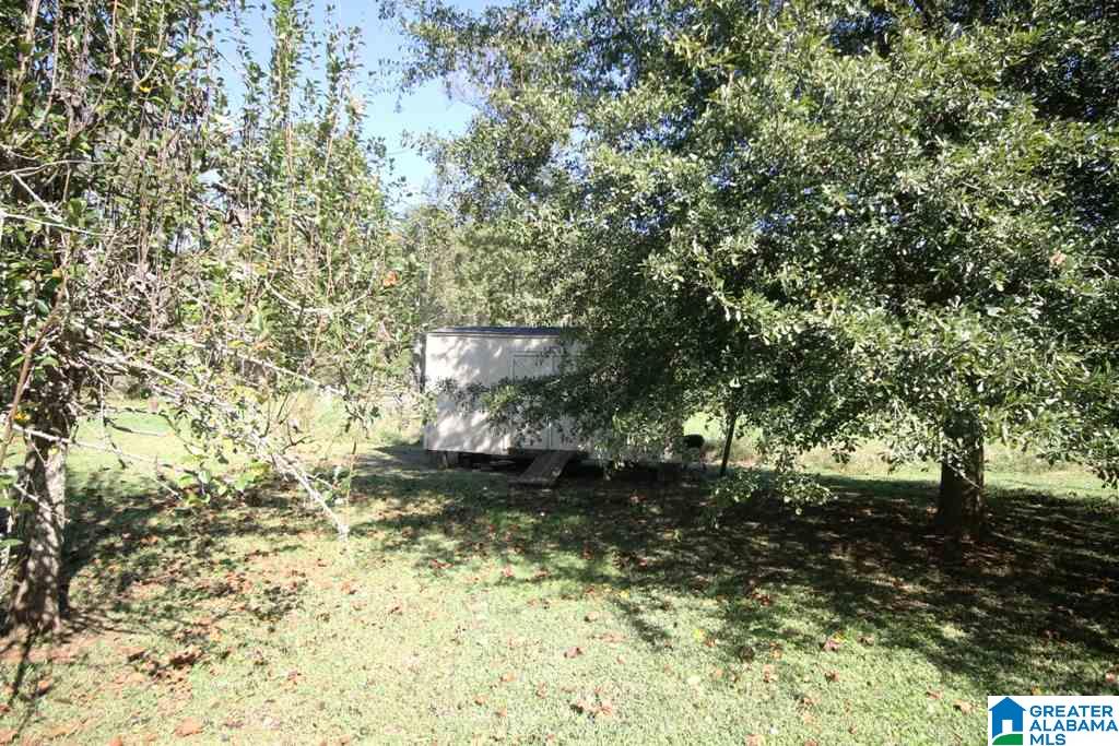 1560 White Plains Road Anniston, AL 36207 - Photo 26 of 38