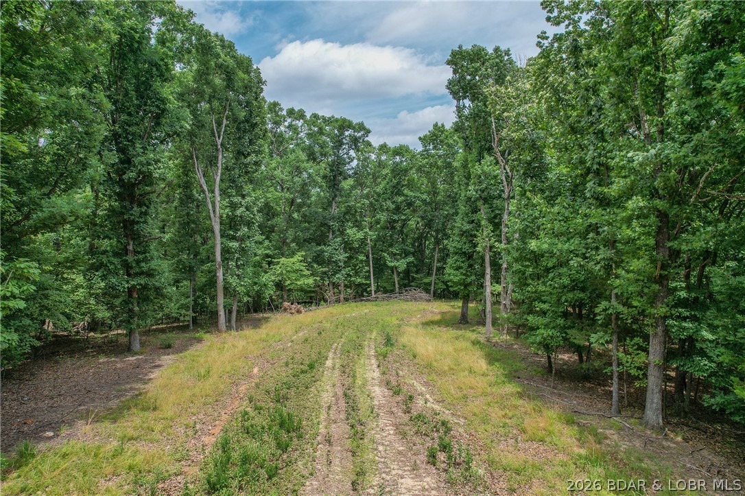 Lot 148 Sioux Road Lake Ozark, MO 65049 - Photo 5 of 33