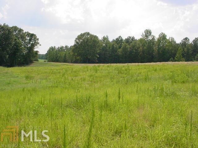29 Nelson Road Franklin, GA 30217 - Photo 1 of 1