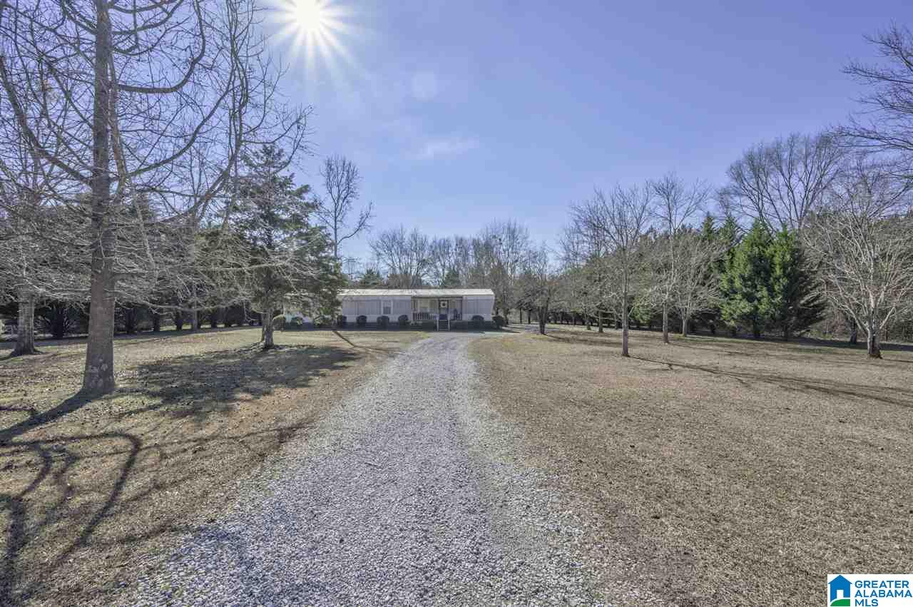 270 Spearman Street Wilsonville, AL 35186 - Photo 3 of 21