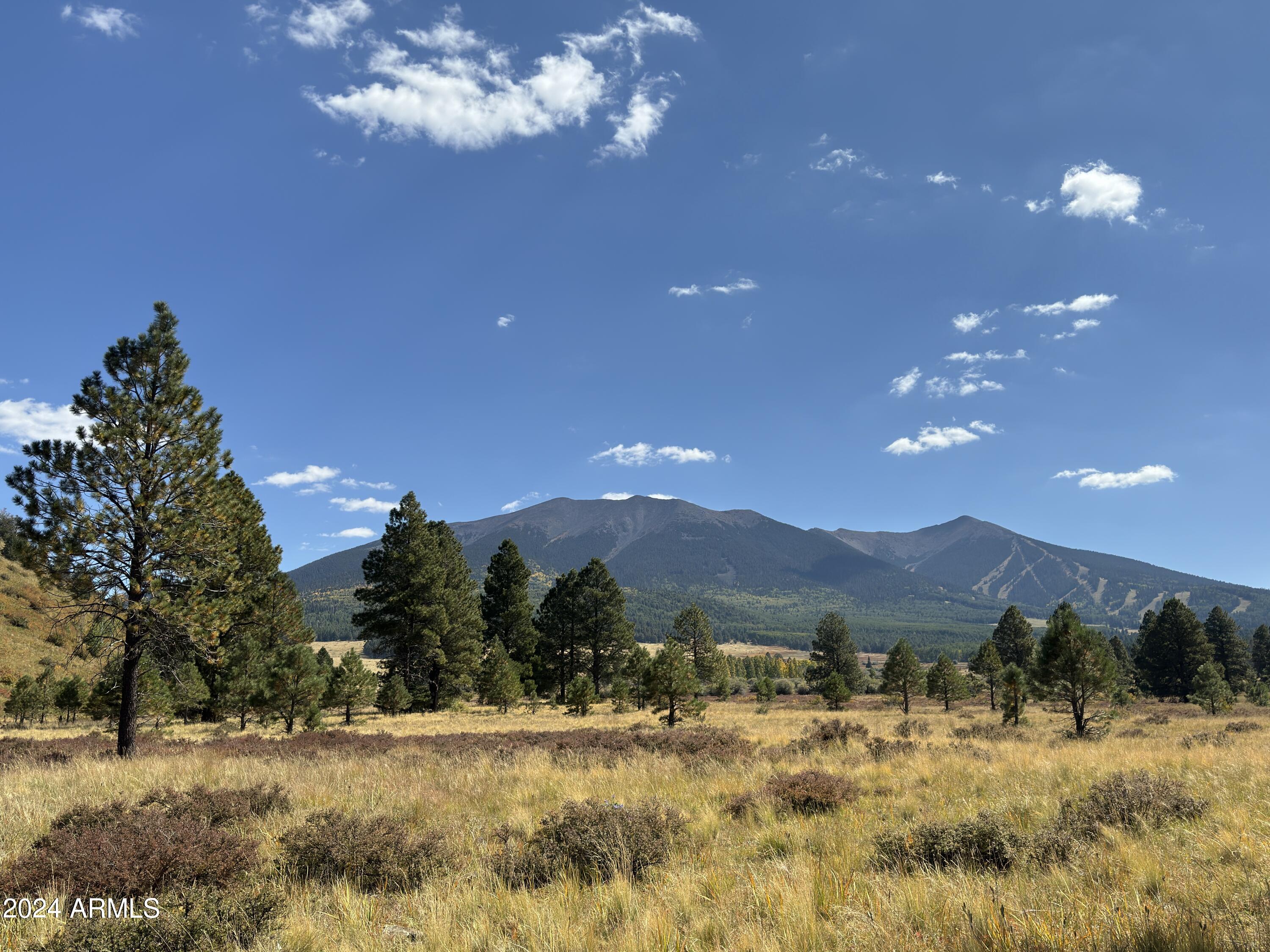 1 Hart Praire Road, Unit 1 Flagstaff, AZ 86001 - Photo 3 of 11 IMG_4765
