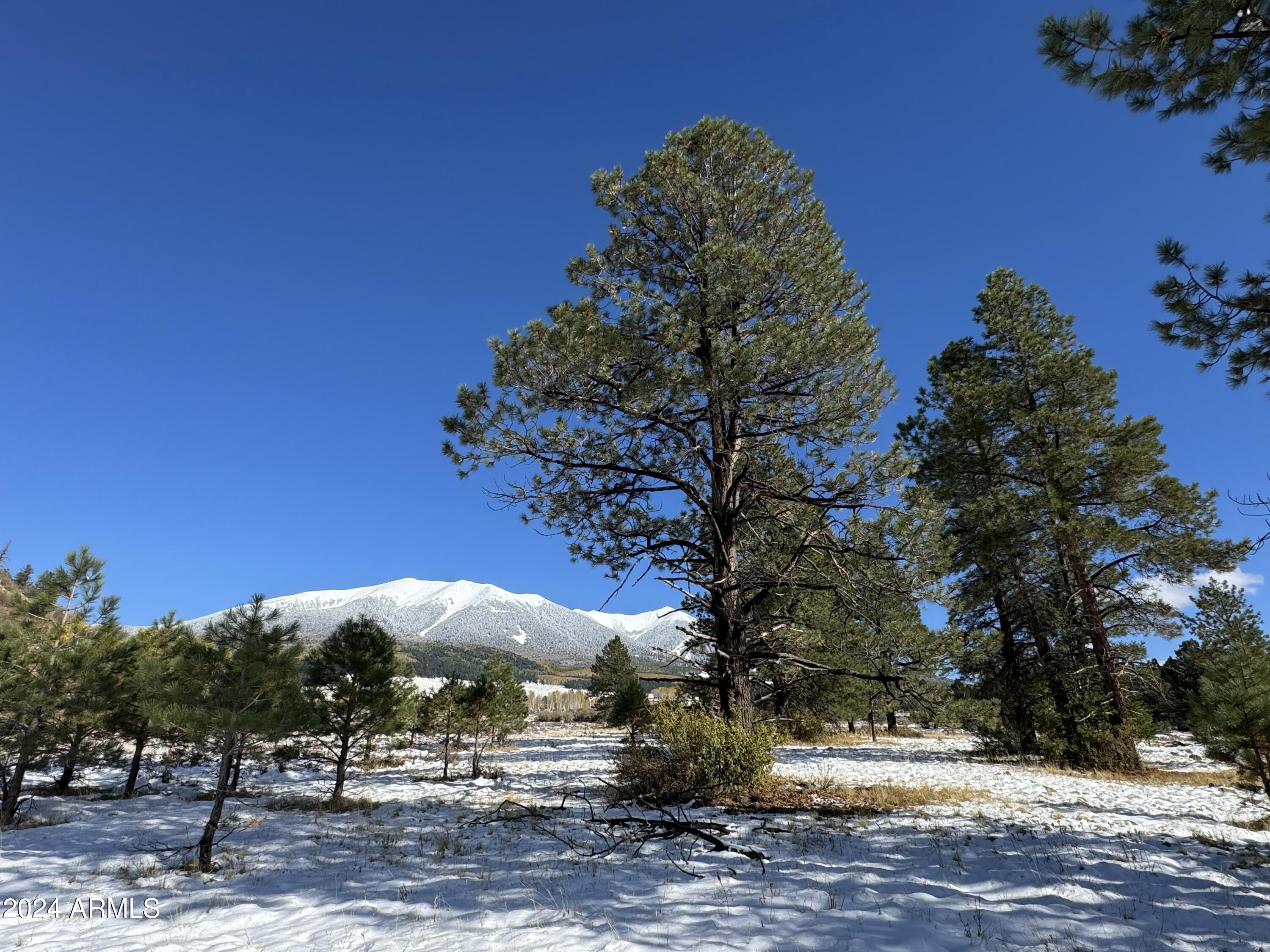 1 Hart Praire Road, Unit 1 Flagstaff, AZ 86001 - Photo 5 of 11 IMG_5227