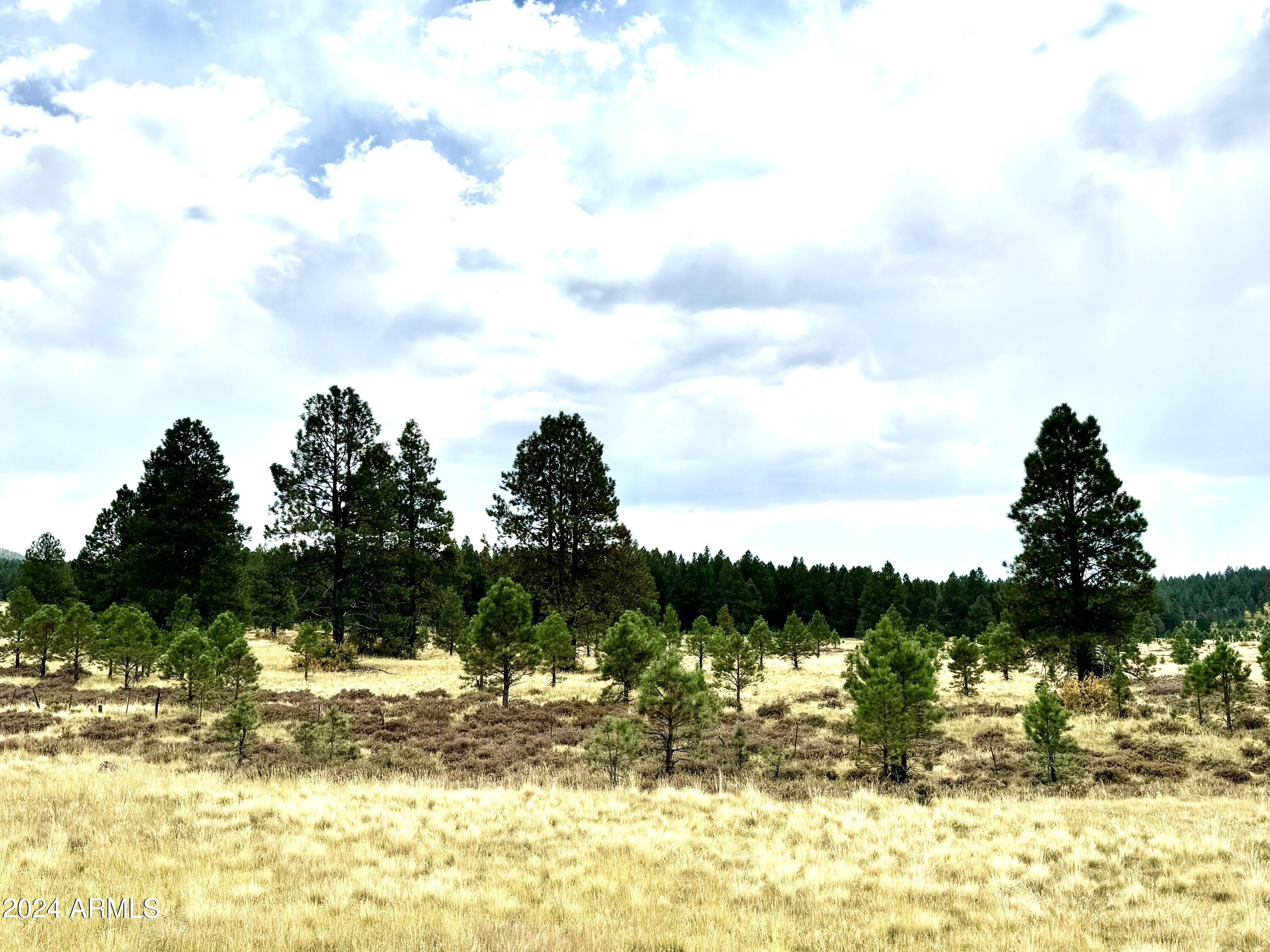 1 Hart Praire Road, Unit 1 Flagstaff, AZ 86001 - Photo 8 of 11 IMG_4832