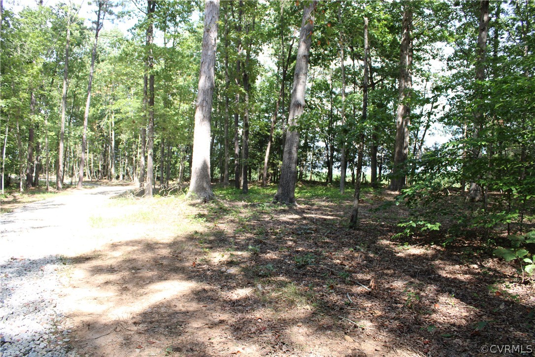 0 Scotchtown Road Beaverdam, VA 23015 - Photo 4 of 18 Gallery Image 4