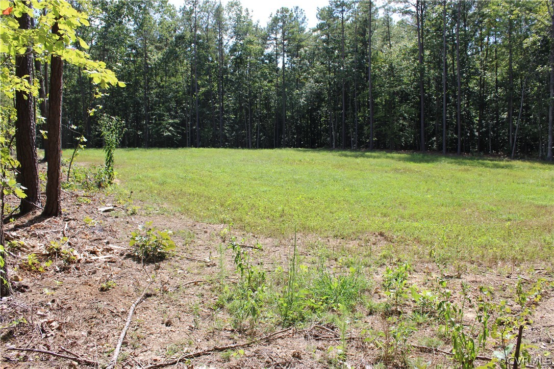 0 Scotchtown Road Beaverdam, VA 23015 - Photo 8 of 18 Gallery Image 8