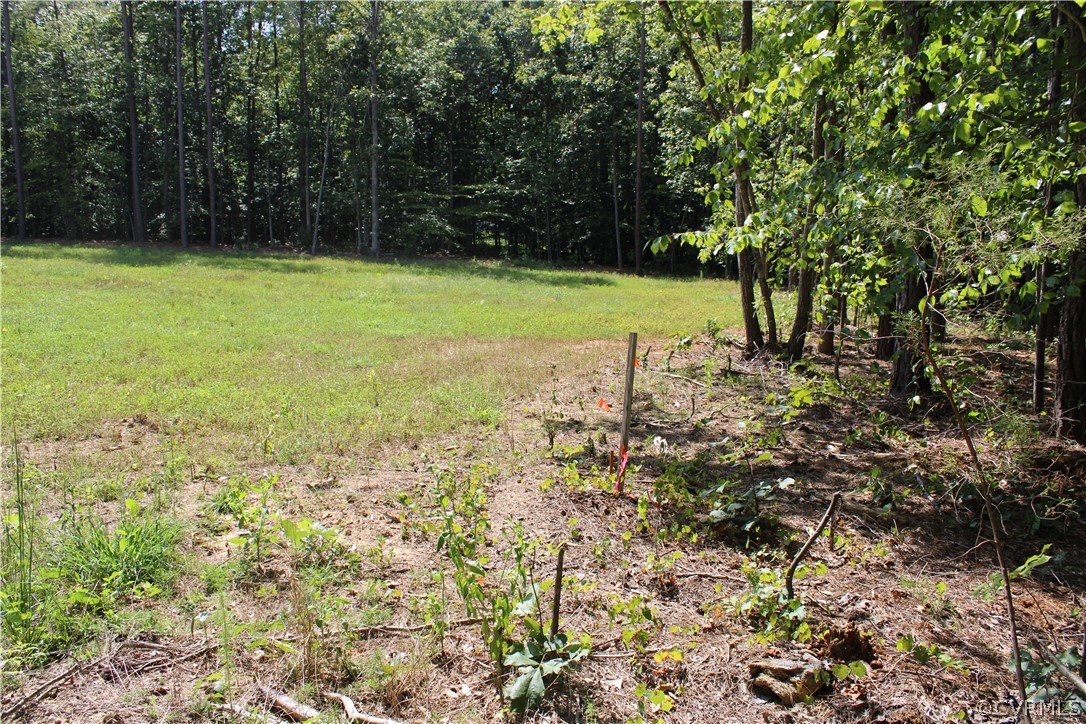 0 Scotchtown Road Beaverdam, VA 23015 - Photo 9 of 18 Gallery Image 9