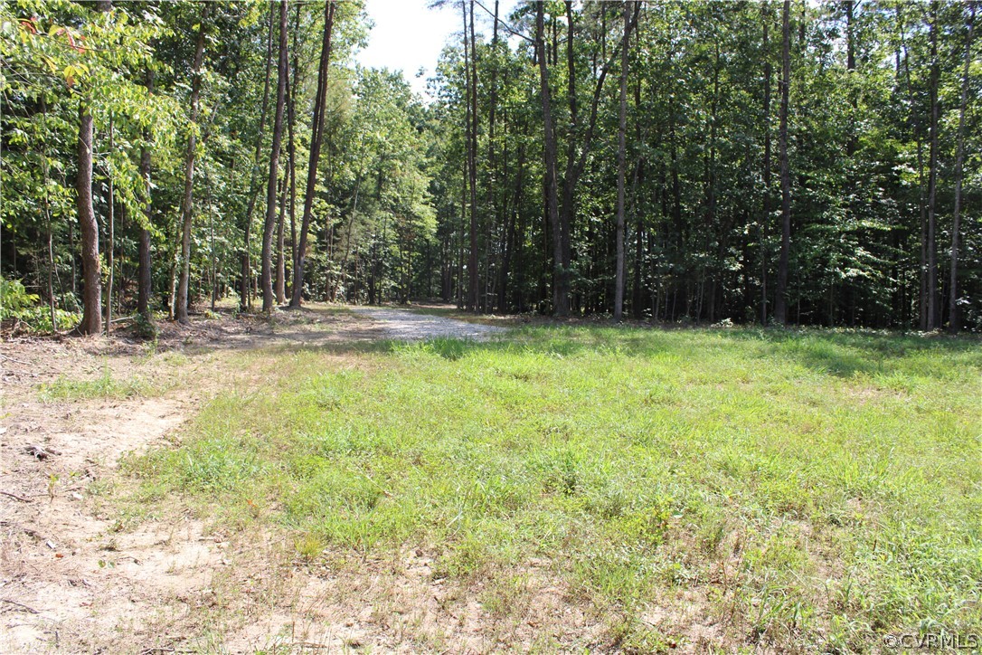 0 Scotchtown Road Beaverdam, VA 23015 - Photo 10 of 18 Gallery Image 10