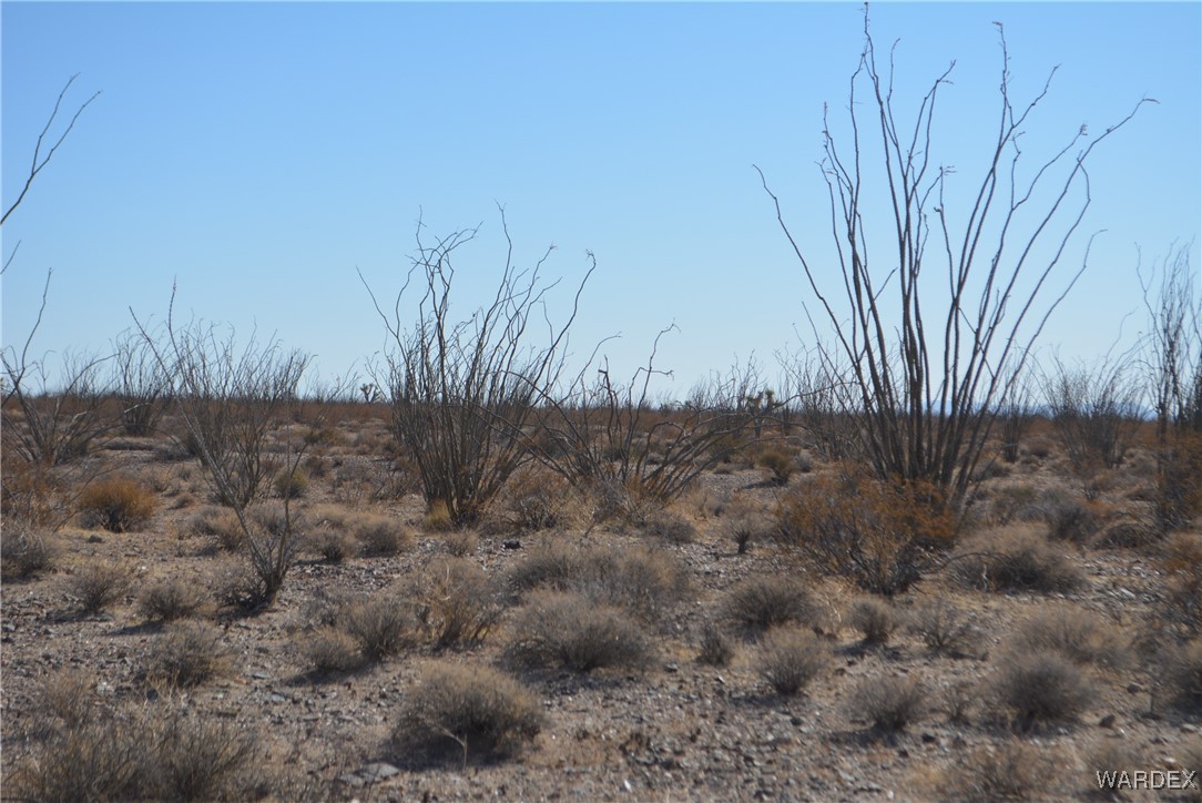 245-24-107 South Rainbow Road Yucca, AZ 86438 - Photo 19 of 91