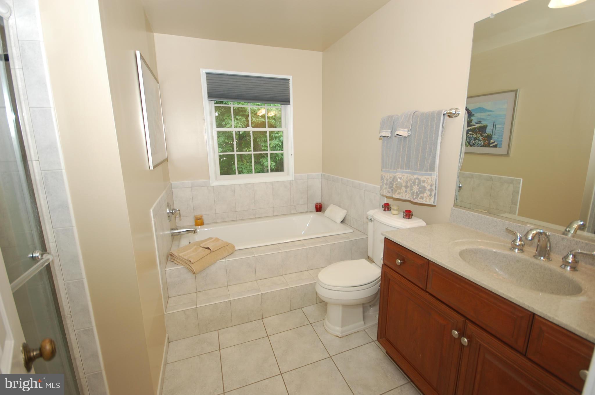7105 Rivers View Court Columbia, MD 21044 - Photo 16 of 28 Bath (Master)