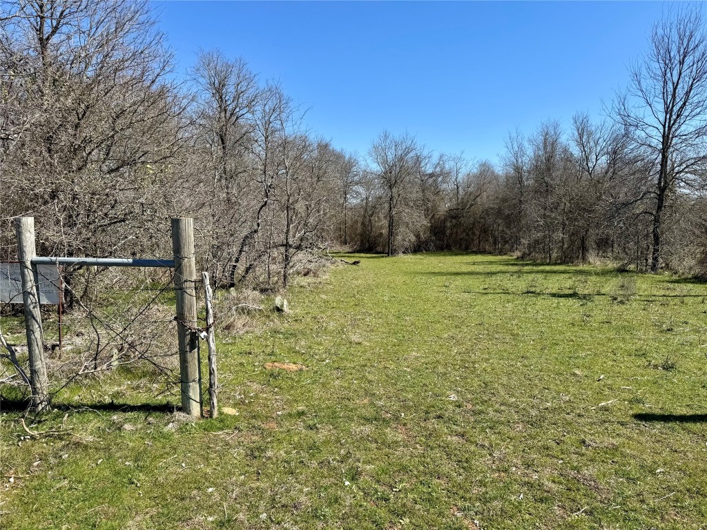 a view of a field with an tree in the background