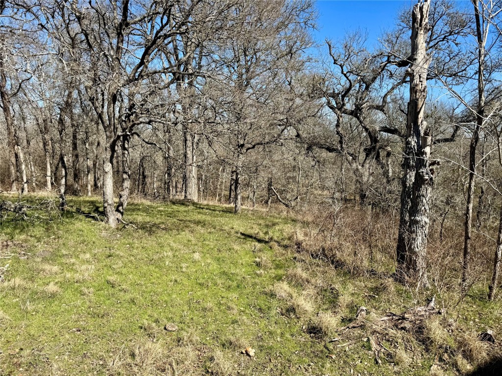 0 County Road 418A Road Bartlett, TX 76511 - Photo 11 of 19 a view of yard with trees