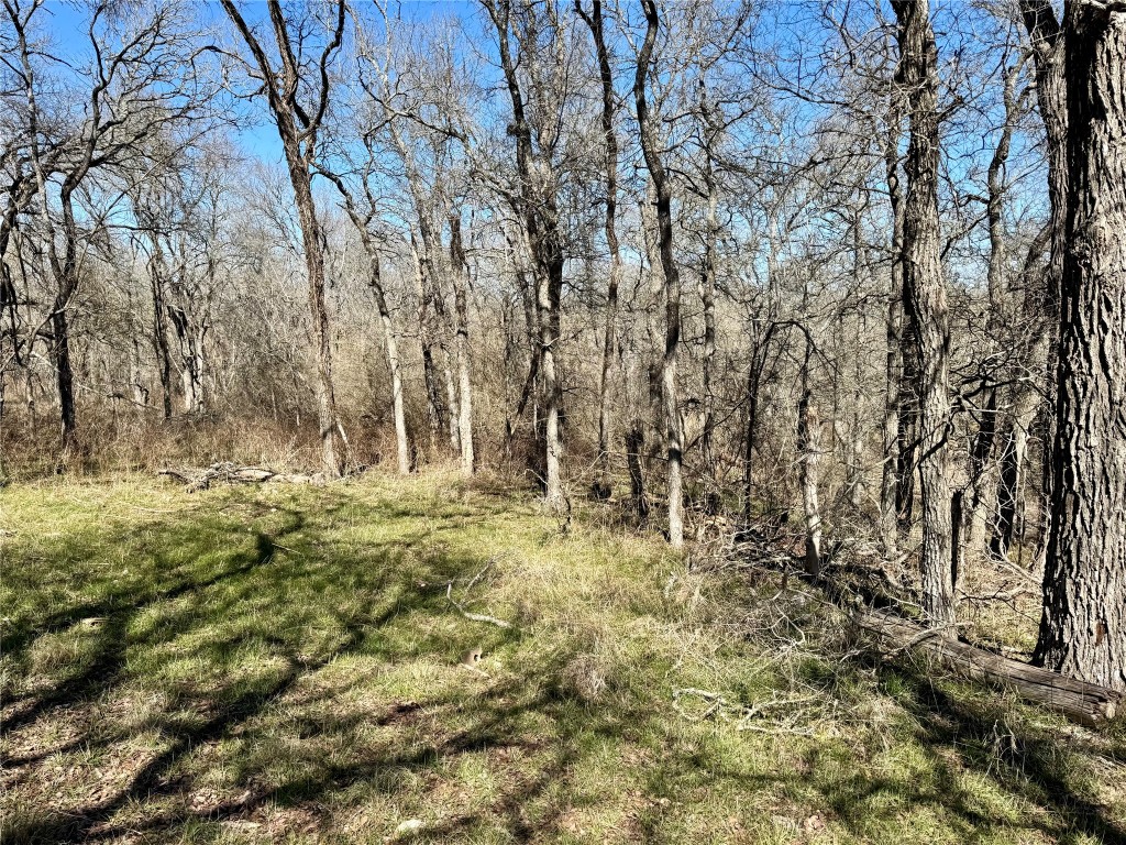 0 County Road 418A Road Bartlett, TX 76511 - Photo 12 of 19 a view of yard