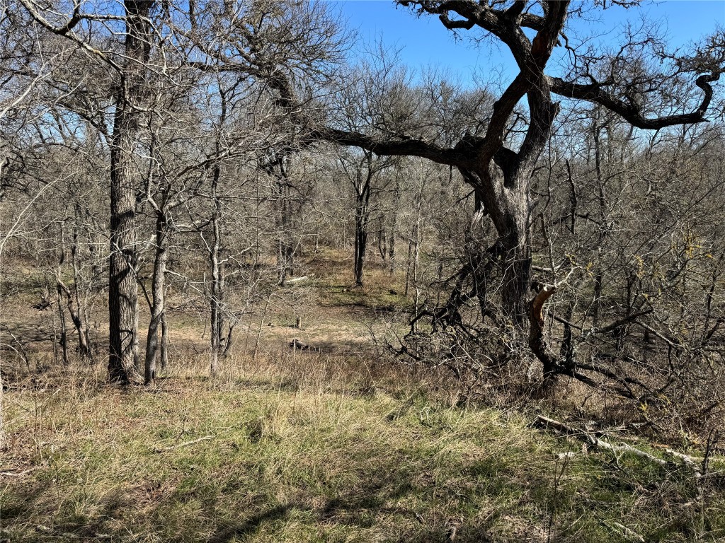0 County Road 418A Road Bartlett, TX 76511 - Photo 14 of 19 a view of tree in the yard