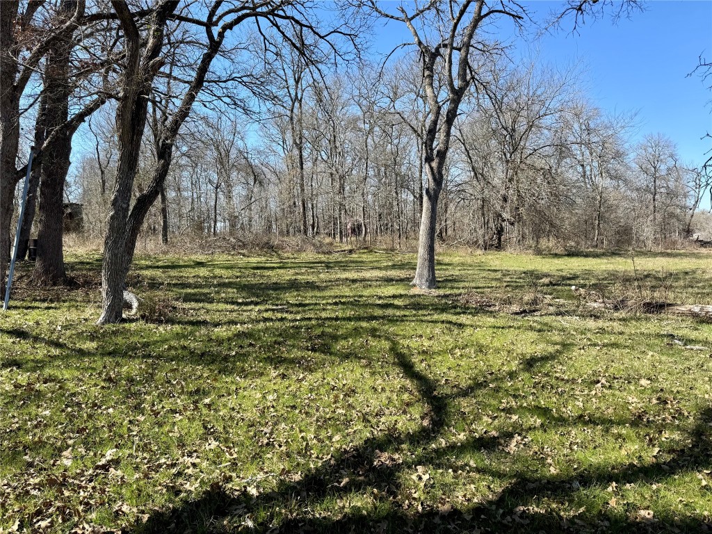 0 County Road 418A Road Bartlett, TX 76511 - Photo 17 of 19 a view of a trees with a tree