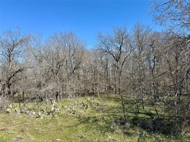 a view of a backyard with large trees
