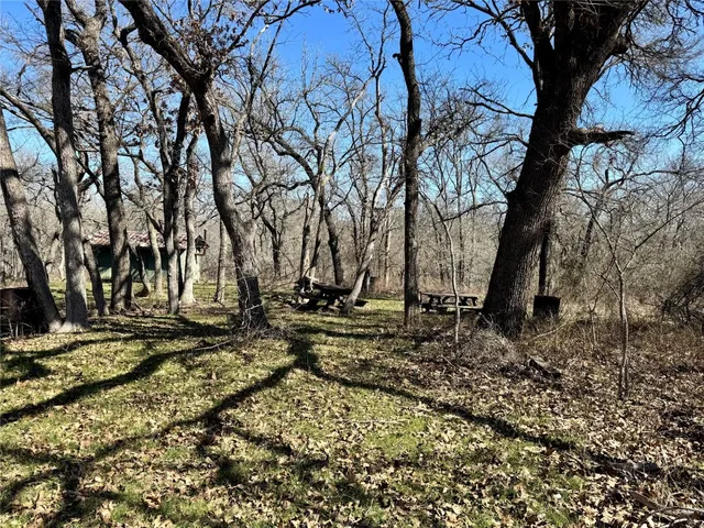 a view of a yard with wooden fence