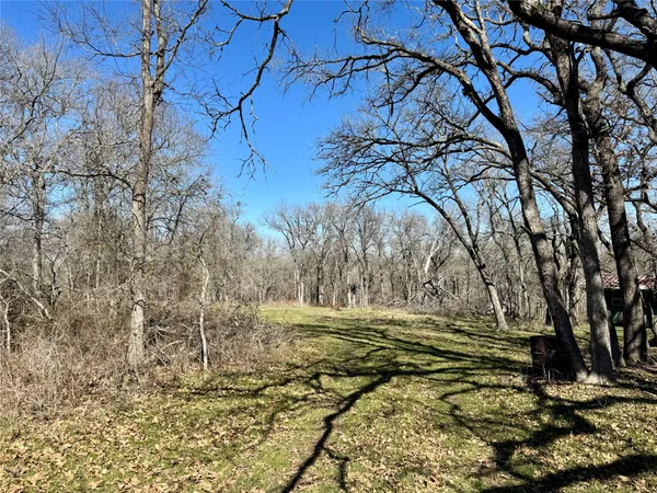 a view of outdoor space with trees all around