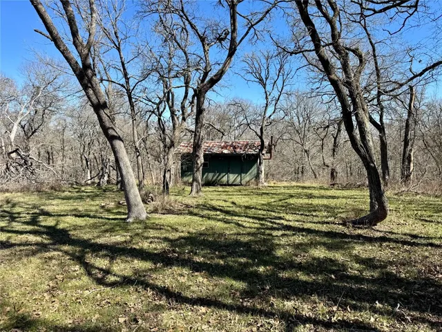 a view of outdoor space with trees all around