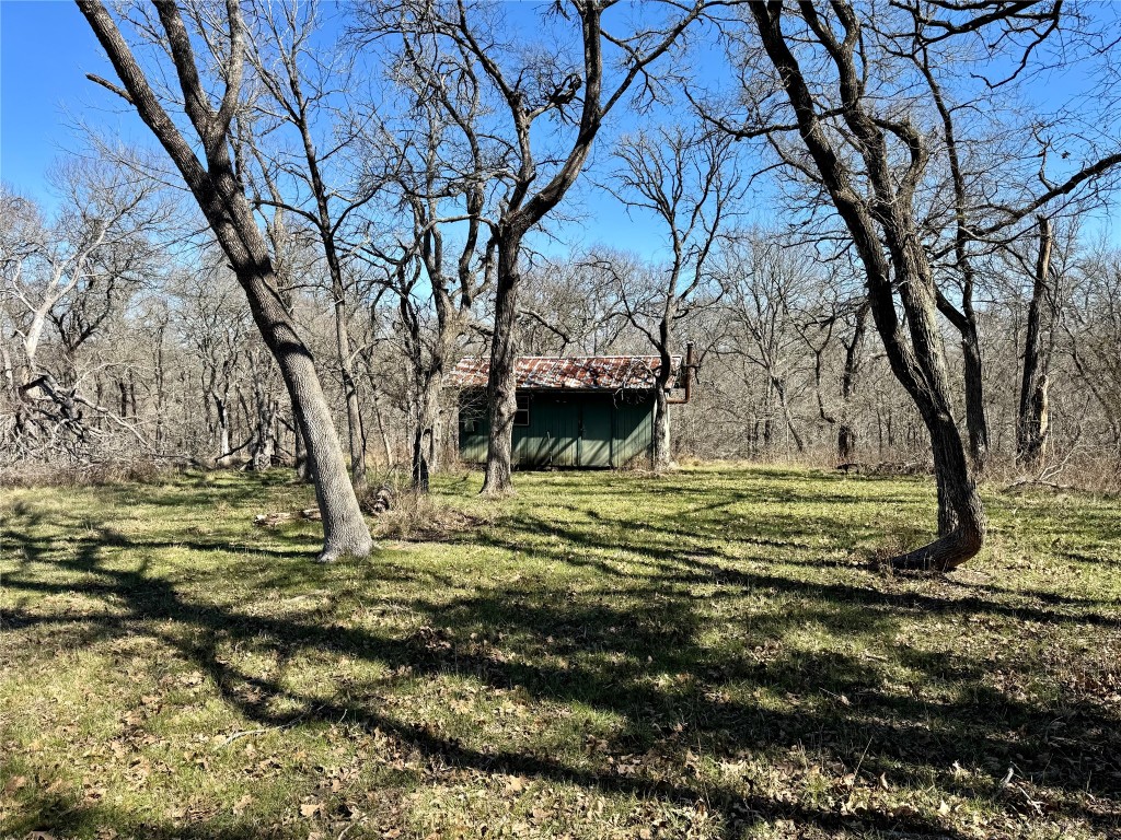 0 County Road 418A Road Bartlett, TX 76511 - Photo 8 of 19 a view of a yard with a tree