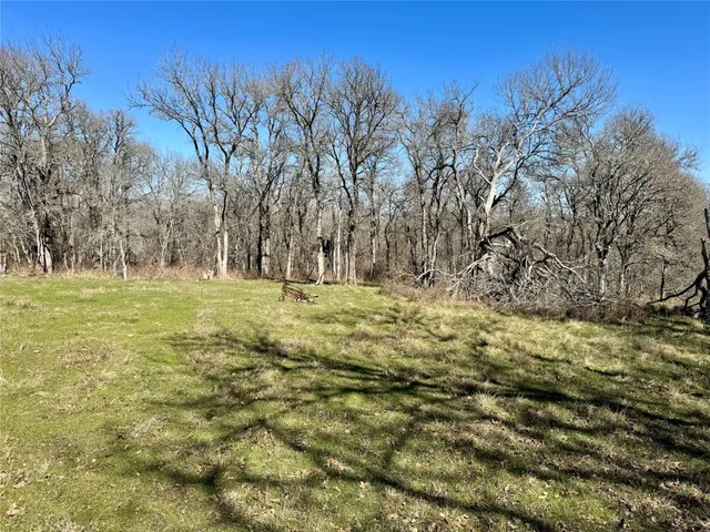a view of outdoor space with trees all around