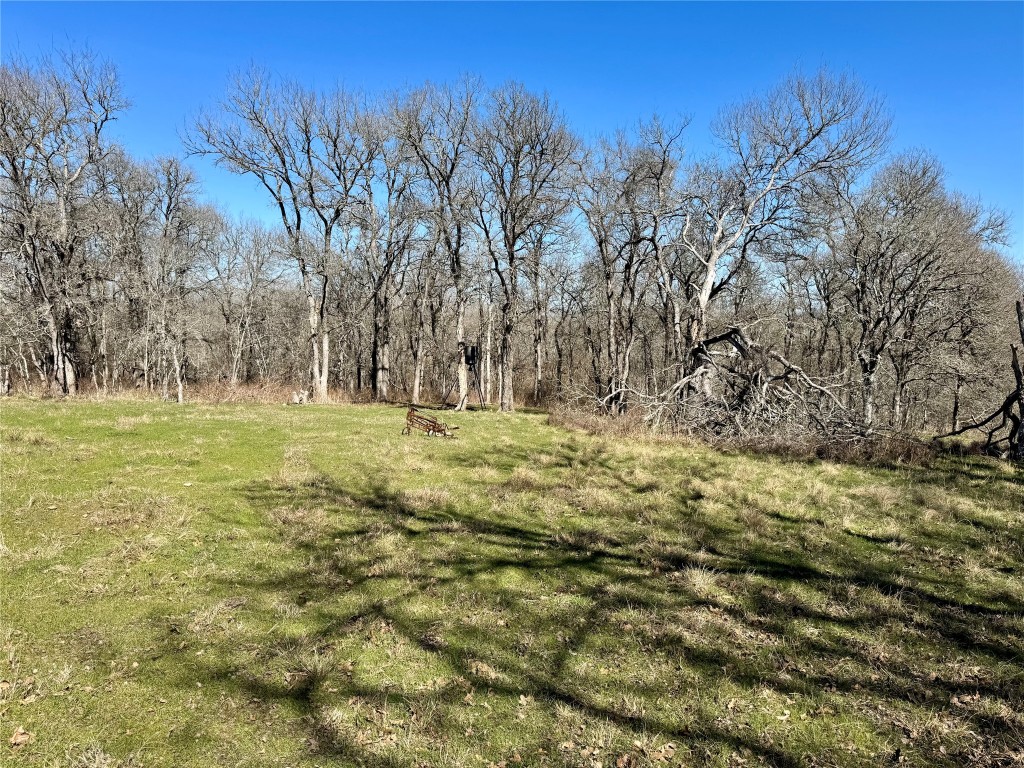 0 County Road 418A Road Bartlett, TX 76511 - Photo 9 of 19 a view of outdoor space with trees all around
