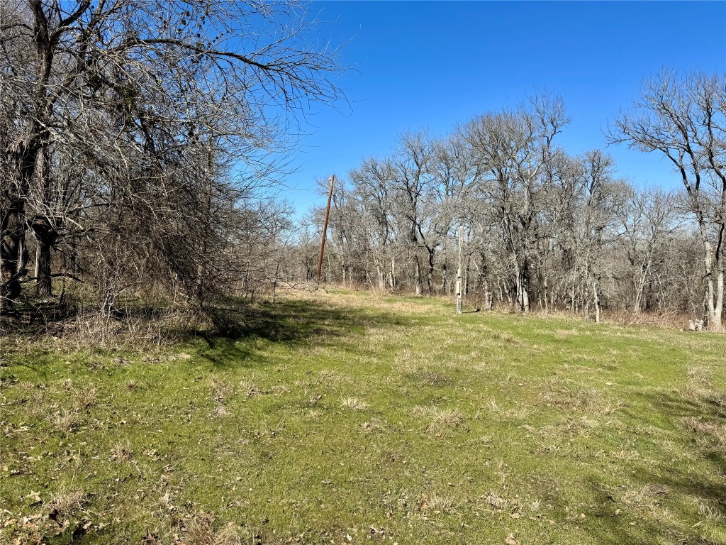 0 County Road 418A Road Bartlett, TX 76511 - Photo 10 of 19 a view of outdoor space with trees all around
