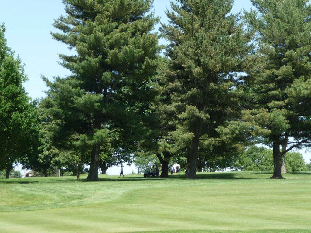 263 Common Street, Unit 263 Watertown, MA 02472 - Photo 7 of 9