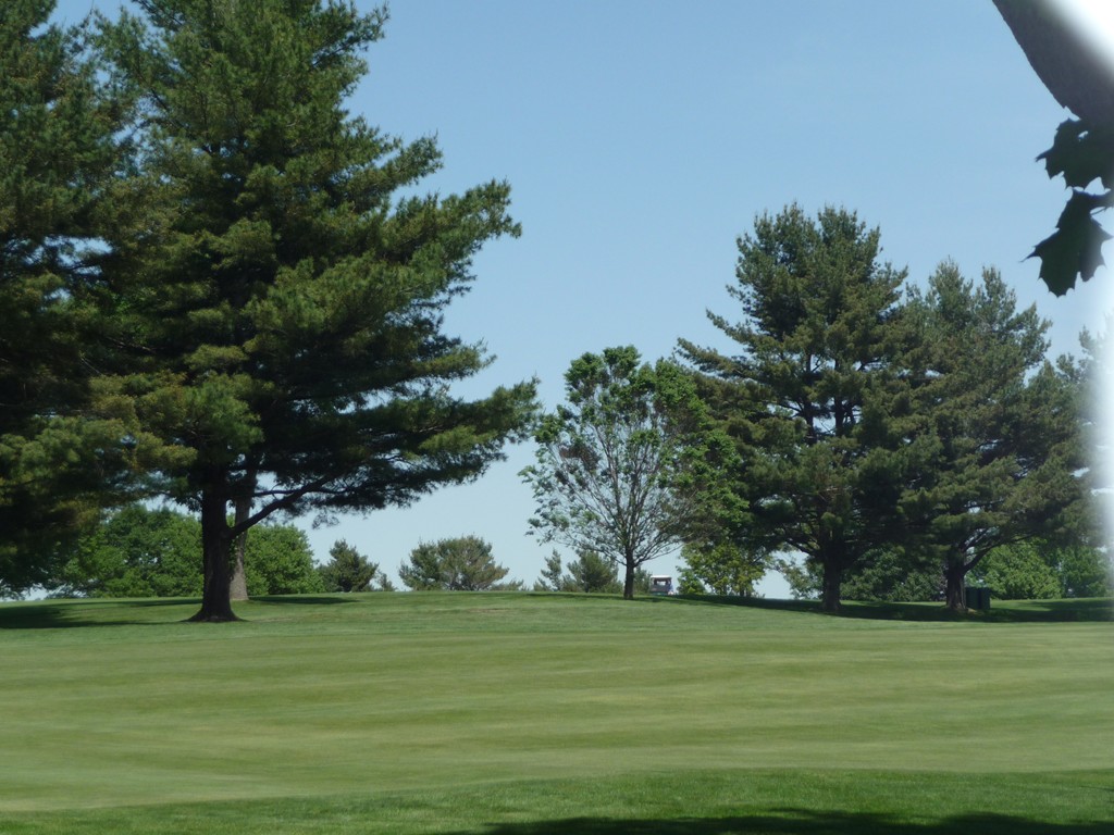 263 Common Street, Unit 263 Watertown, MA 02472 - Photo 8 of 9