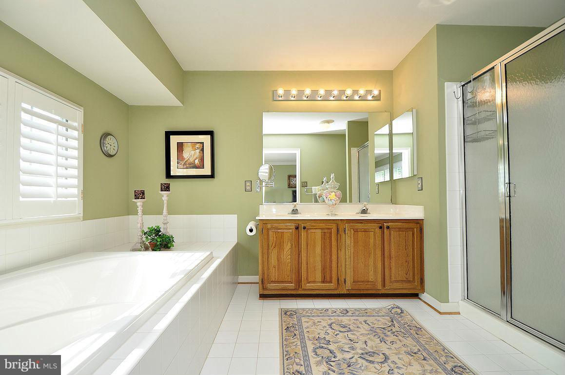 2906 Thornbrook Road Ellicott City, MD 21042 - Photo 19 of 30 Soaking Tub