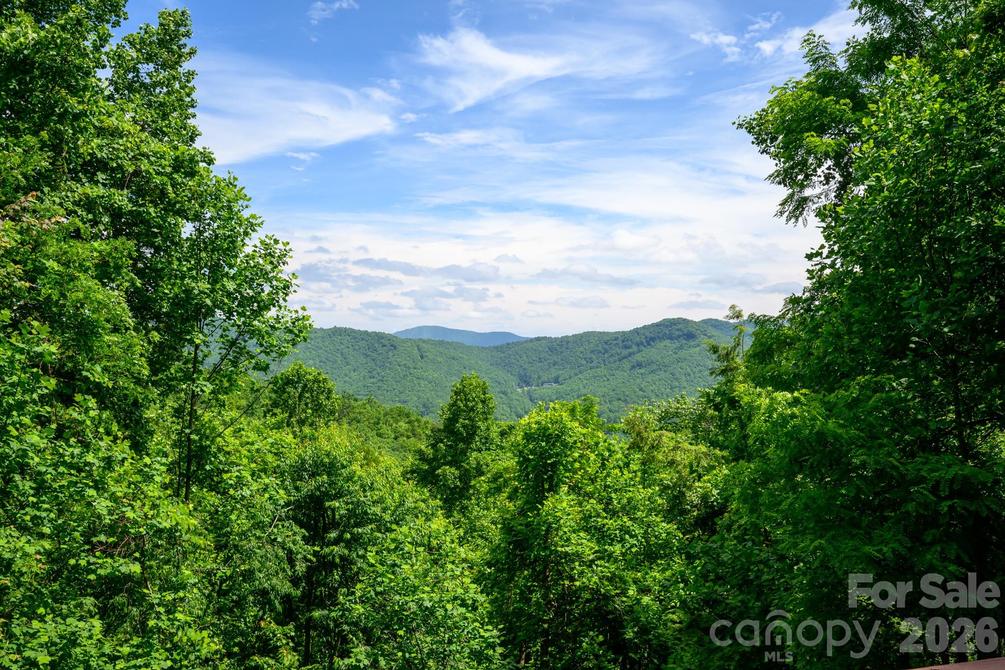 1299 Pine Ridge Road Burnsville, NC 28714 - Photo 20 of 26