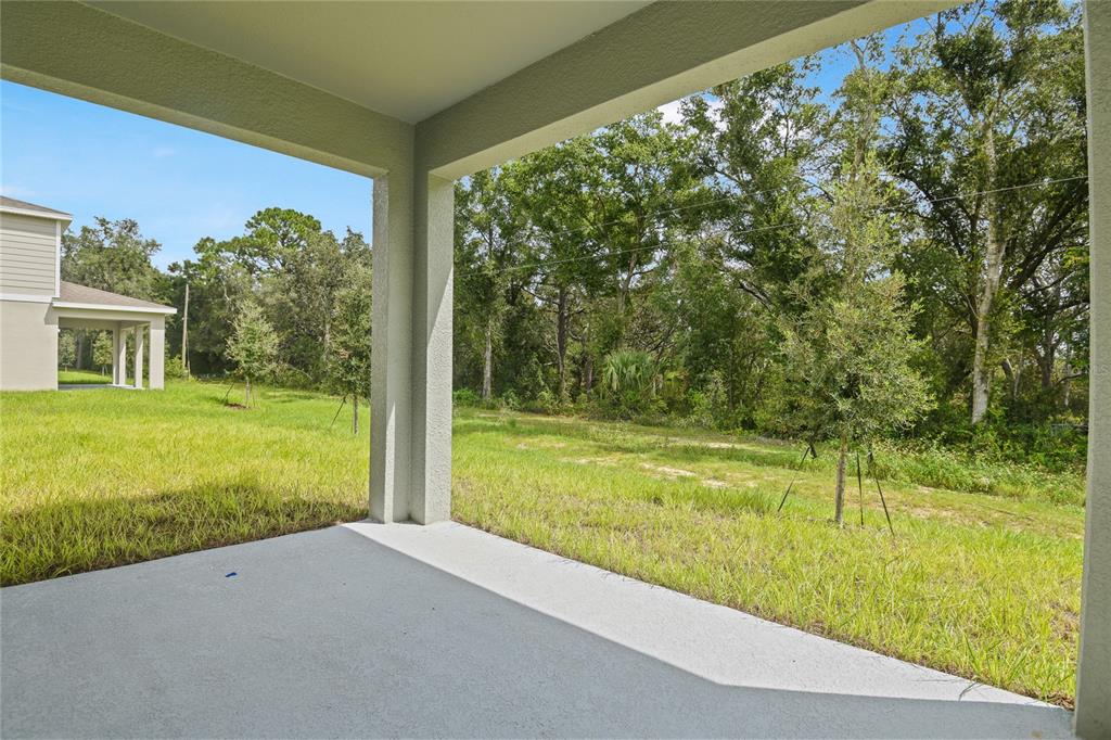 1026 Cloud Rdg Court Mount Dora, FL 32757 - Photo 18 of 20