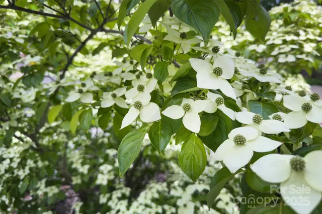 $439,000 | 3 Teresa Way, Black Mountain, NC 28711