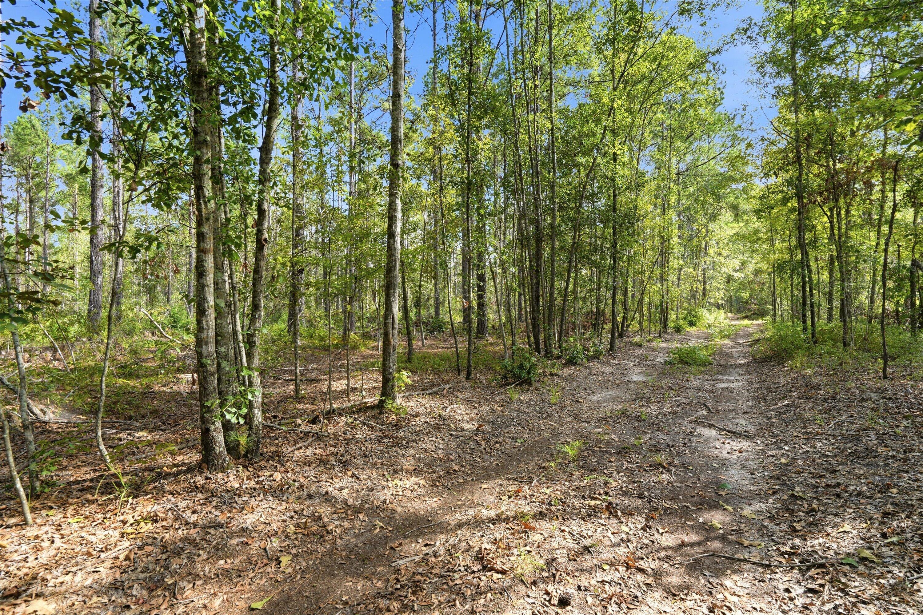 0 Barracada Road Walterboro, SC 29488 - Photo 4 of 26 01-001_DSC01454
