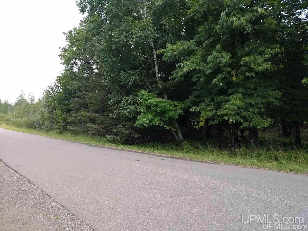 5-acres Co Rd Sa Cornell, MI 49818 - Photo 9 of 27