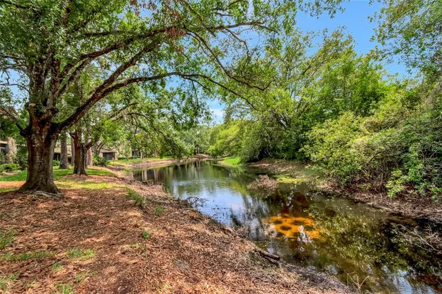 a view of a lake with a tree